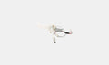 b5 Cold, Hot & Sparkling Hot Water Pump