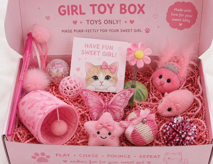 A Mystery Toy Box — Toys Only, Tail-Twitching Fun! 🐾😸 - Meow Lucky Scoops