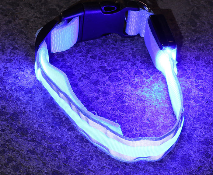 Blue battery model / L