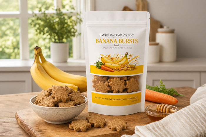 Baxter Bailey Banana Bursts natural dog treats made with real bananas and oat flour in resealable bag.|Friandises naturelles pour chiens aux bananes et farine d'avoine, en sachet refermable.