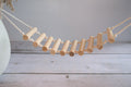 Bird Suspension Bridge