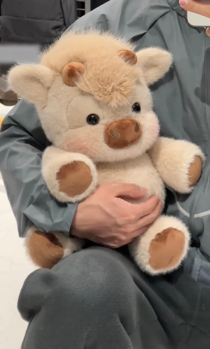 Person holding a brown cow stuffed animal with a neutral background