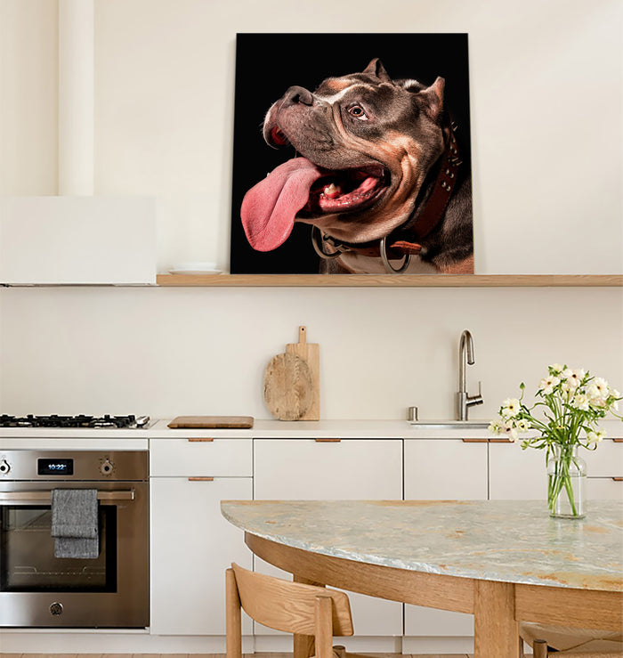 Bully bulldog close-up Canvas painting - LeobonZone