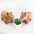 Cappy: Capybara Plush Toy - Goodlifebean Stuffed Animals