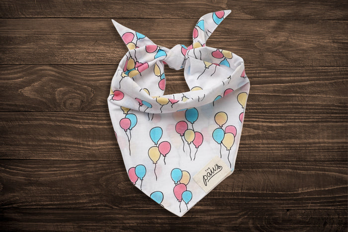 The Paws pet bandanas with party balloon designs.|Bandanas pour animaux The Paws avec des motifs de ballons de fête.
