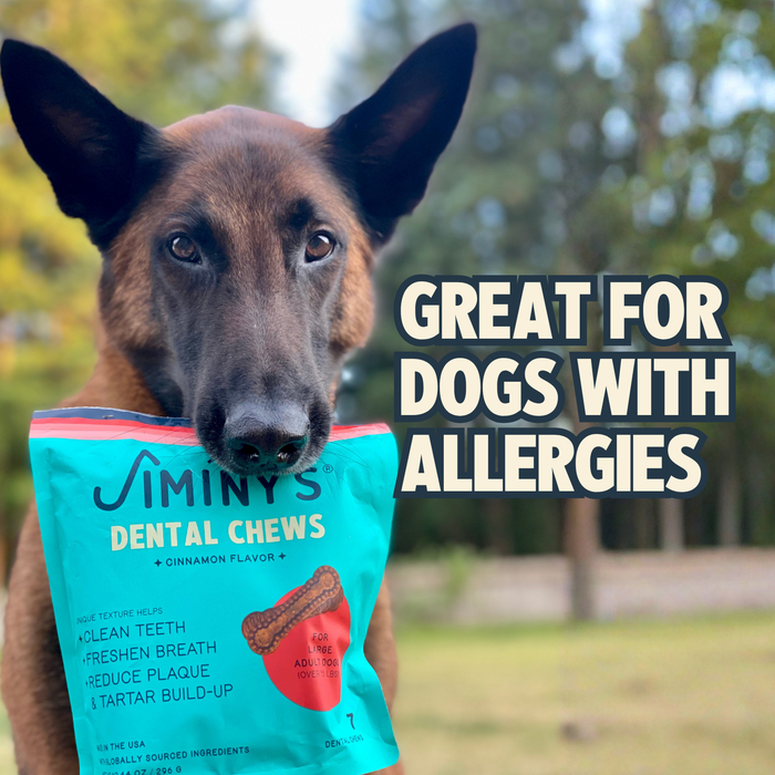 Cinnamon Dental Chews - Large