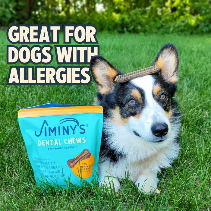 Cinnamon Dental Chews - Small