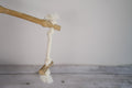 Wooden bird perch with a rope attached on a plain background.|Perchoir pour oiseaux en bois avec une corde attachée, sur un fond uni.