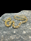 Corn Snake (Caramel Motley)