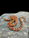 Corn Snake (Hypo)