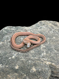 Corn Snake (Scaleless Diffused) Male