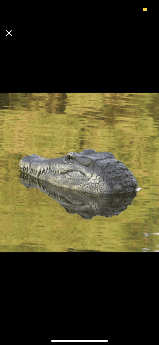 Crocadillo: Remote Control Crocodile Boat - Goodlifebean