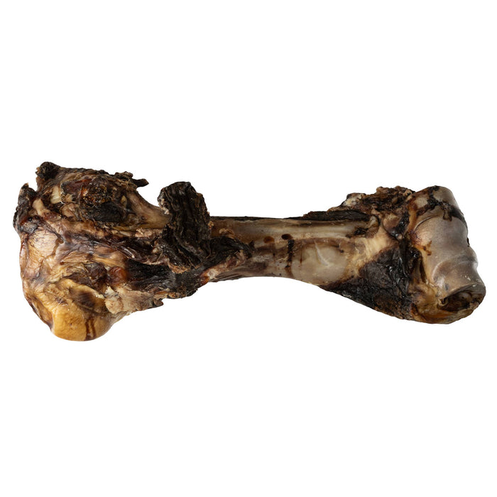 Dino Beef Bone