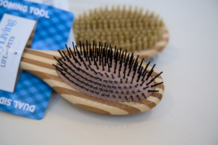 Wooden dog brush with bristles on a white surface.|Brosse pour chien en bois avec des poils, posée sur une surface blanche.