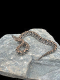 Dumeril's Boa