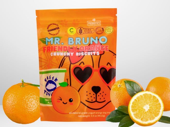 Friendly Orange