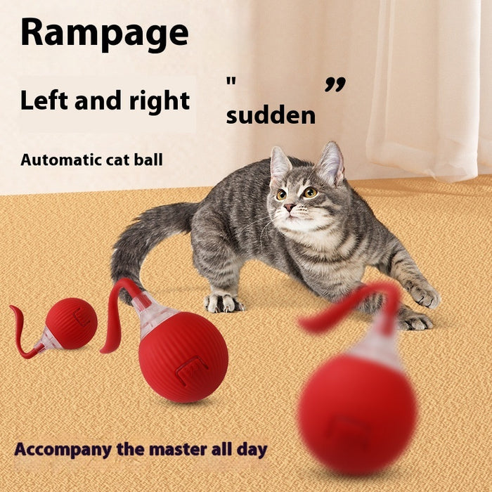 Interactive Cat Toy Ball Super Drive Cat Rolling Ball by DC-THE CEO