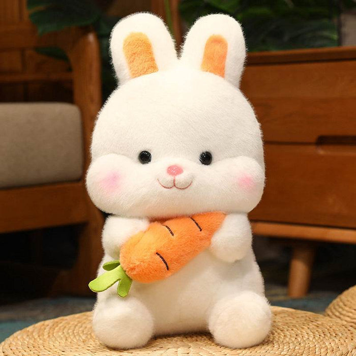 26cm