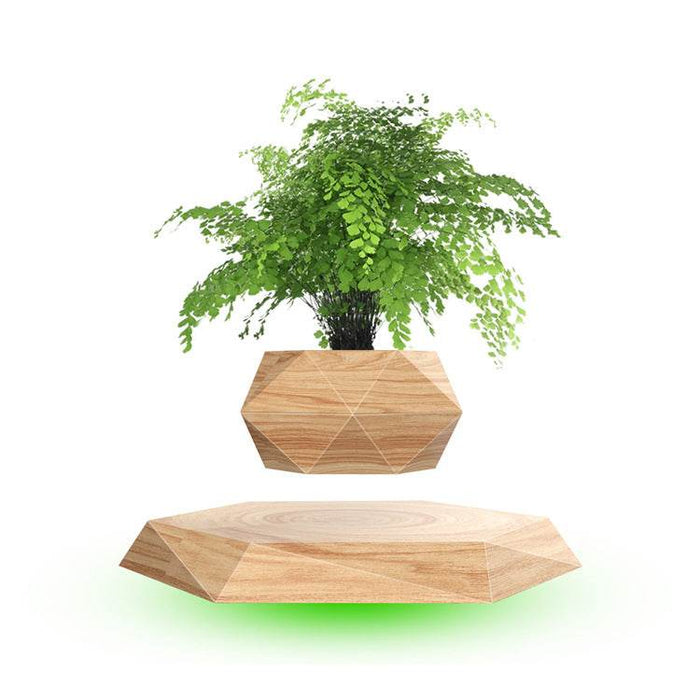 Levitating Bonsai Planter - Goodlifebean Home Gadgets