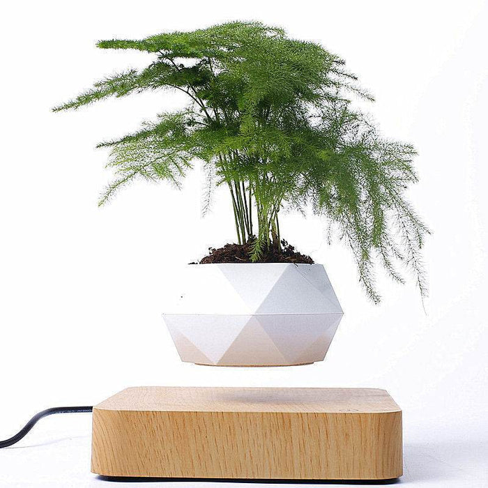 Levitating Bonsai Planter - Goodlifebean Home Gadgets