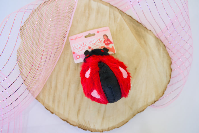 Red and black ladybug dog toy with a pink tag on a textured surface.|Jouet pour chien en forme de coccinelle rouge et noire avec une étiquette rose, posé sur une surface texturée.