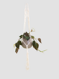 Macrame Wall
