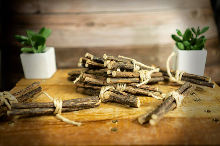Bundles of silvervine sticks tied with twine on a wooden surface with plants in the background.|Des fagots de bâtonnets de vigne argentée attachés avec de la ficelle sont posés sur une surface en bois, avec des plantes en arrière-plan.