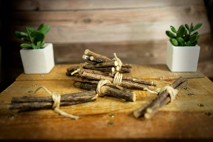 Bundles of matatabi sticks tied together on a wooden surface with potted plants in the background.|Des fagots de bâtons de matatabi sont attachés ensemble sur une surface en bois, avec des plantes en pot en arrière-plan.