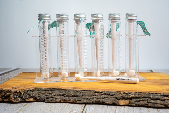 Display with 6 toothbrushes for small dogs in a reusable container from Wag & Bright Supply Co. | Présentoir avec 6 brosses à dents pour petits chiens dans un contenant réutilisable de Wag & Bright Supply Co.