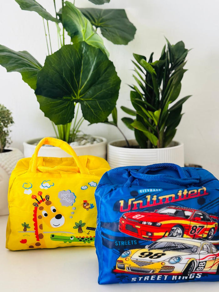 Mini lnsulated lunch Bag