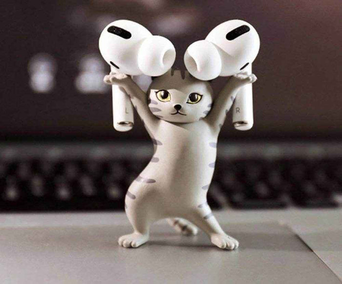 Mochi Cat Holder(Pack of 5)