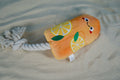 Plush orange popsicle dog toy with rope handle resting on a sunny sandbank.|Jouet pour chien en forme de popsicle orange avec corde, posé sur un banc de sable ensoleillé.