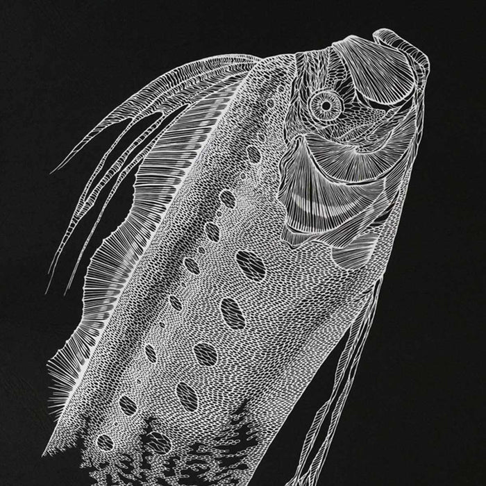 [PAPER CUTTING ART] KIRIKEN "PAPER-CUTTING WORK COLLECTION" | MASAYO FUKUDA | CUTOUT