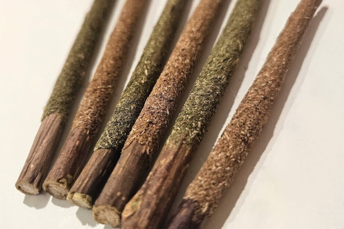 Close-up of silvervine sticks coated in silvervine powder and catnip.|Gros plan des batonnets de silvervine enrobé de poudre de silvervine et de catnip.