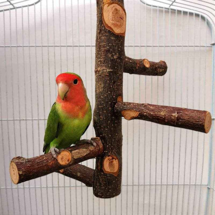 Perch & Play: Parrot Wood Stand | Parakeet Playland - Goodlifebean stuffed animals