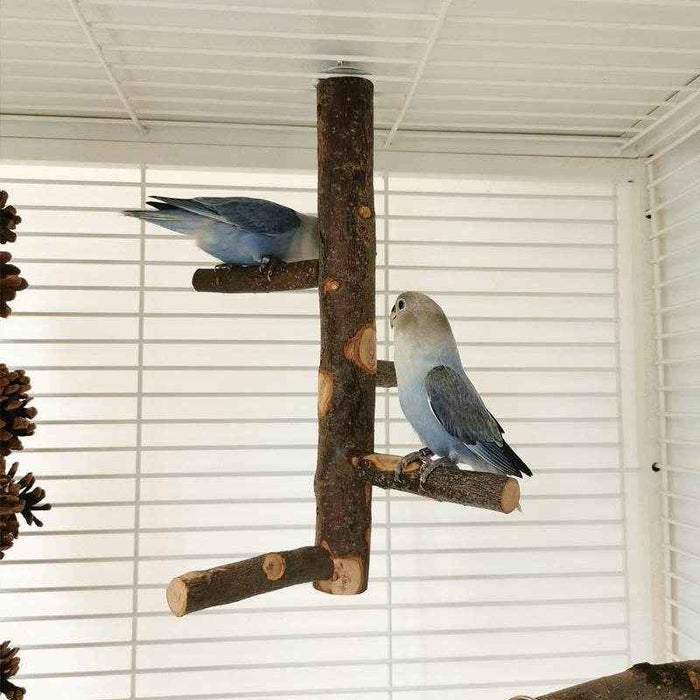 Perch & Play: Parrot Wood Stand | Parakeet Playland - Goodlifebean stuffed animals