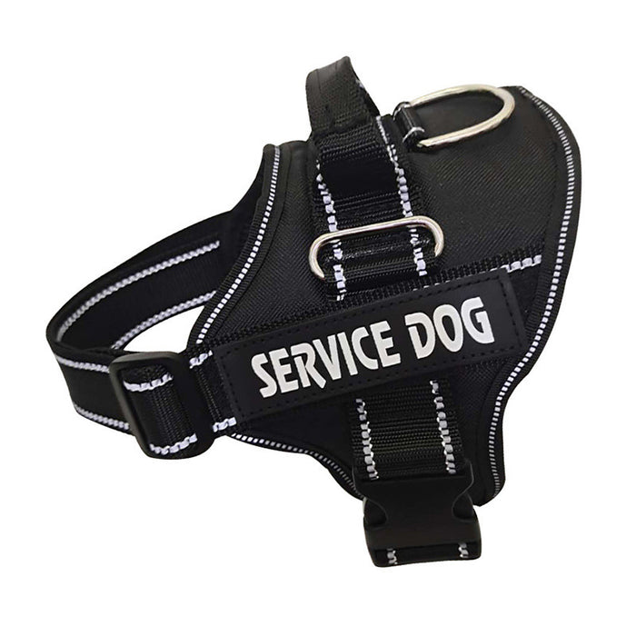 Personalization Of Pet Chest Strap Products by DC-THE CEO