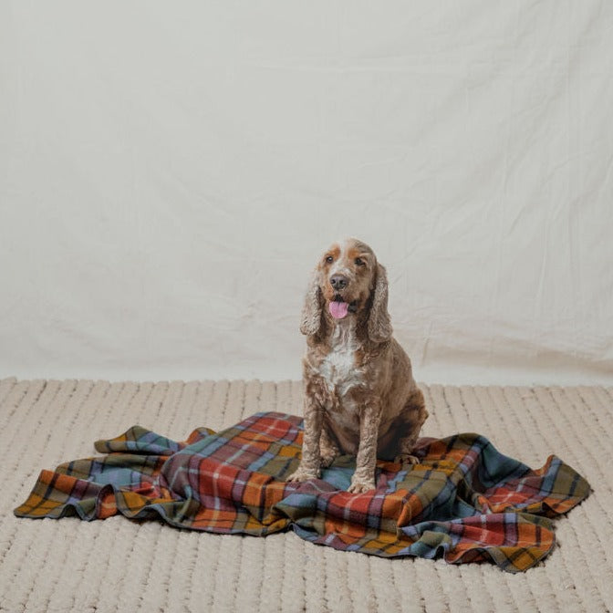 Pet Blanket | Autumn