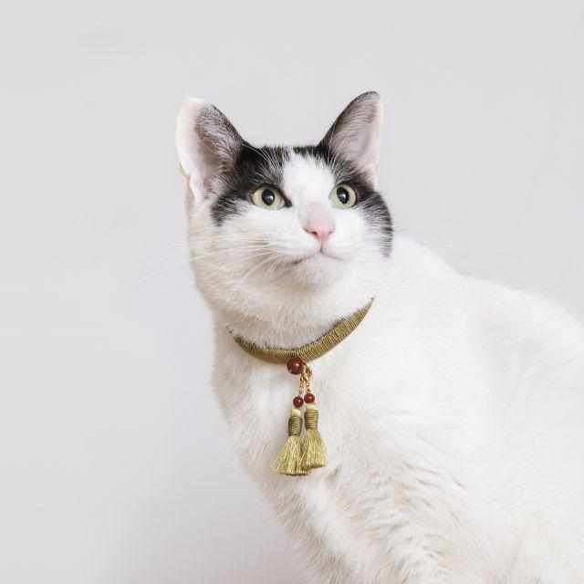 [PET SUPPLY] CAT NECKLACE & EARRINGS SET KURAMA | NAKANO ISUKE | KYOTO BUDDHIST BEADS