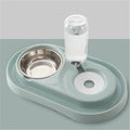 Dog bowl by DC-THE CEO