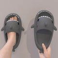 Premium Shark Slides - Goodlifebean Slides