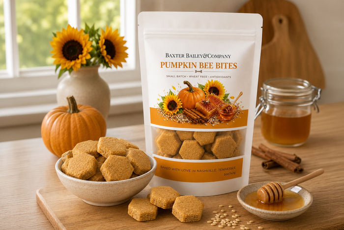 Baxter Bailey Pumpkin Bee Bites handcrafted dog treats made with real pumpkin, honey, and oat flour in a resealable bag.|Friandises pour chiens à la citrouille, miel et farine d'avoine, présentées dans un sachet refermable.