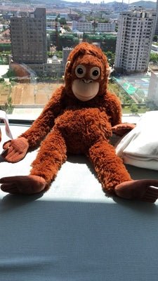 Punchy: Baby Orangutan Monkey Plushie | Cute Stuffed Animal Monkey - Goodlifebean product_type