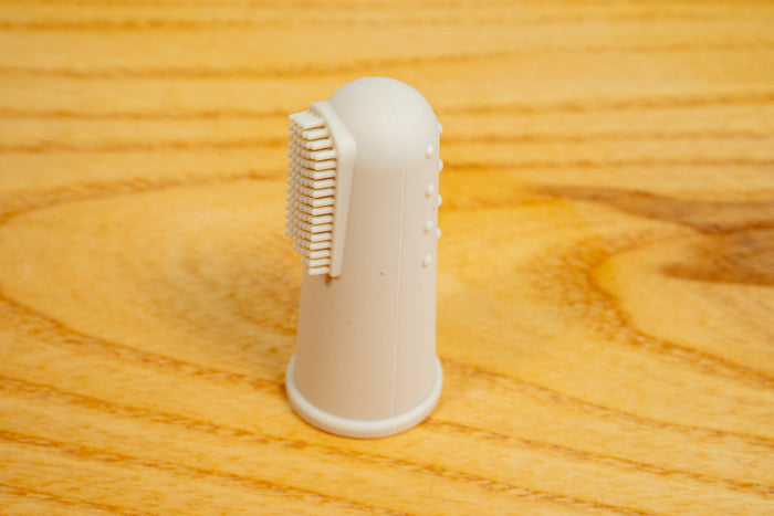 Close-up view of the silicone finger dog toothbrush.|Vue rapproché de la brosse à dents à doigt en silicone pour chiens.