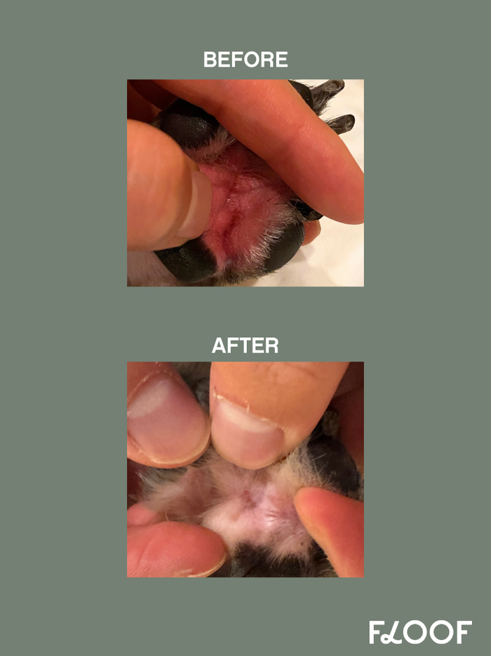 Smart Skin Spray : Small