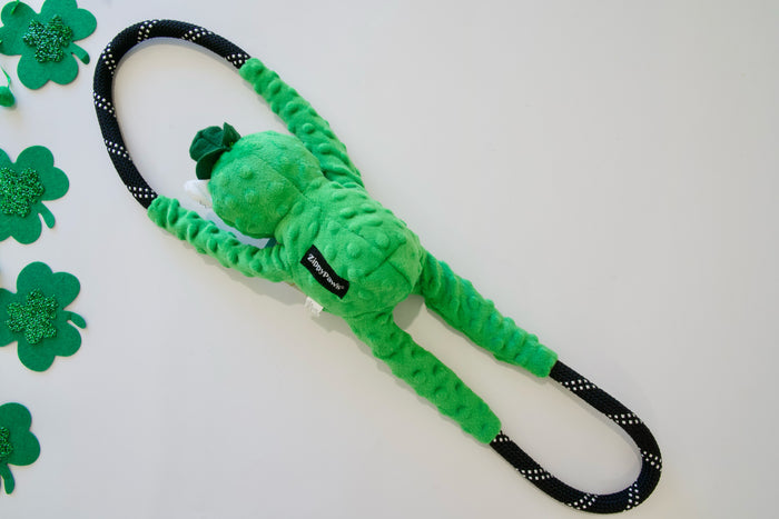 View from the back of the green lucky teddy bear and rope dog toy on a white background.|Vue de dos d'un ours en peluche vert porte-bonheur et d'un jouet pour chien en corde sur fond blanc.