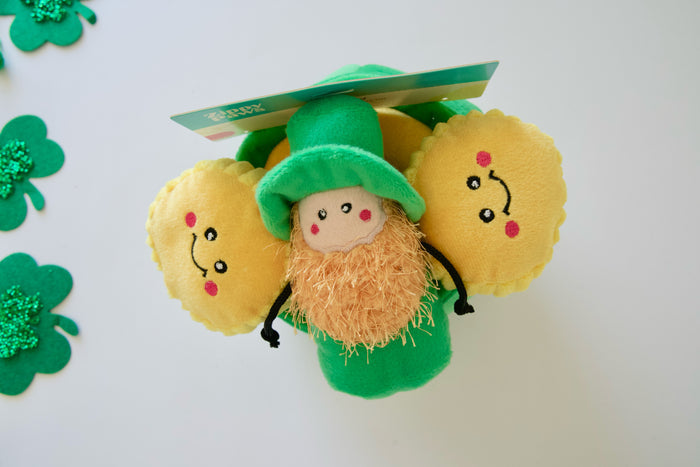 Top view of the dog plush toy resembling a leprechaun with gold coins on a white background.|Vue de dessus d'une peluche pour chien ressemblant à un lutin avec des pièces d'or sur fond blanc.