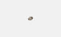 Stud Fitting Male Metal 1/4" Push Fit x 1/4 NPT - Pack of 10