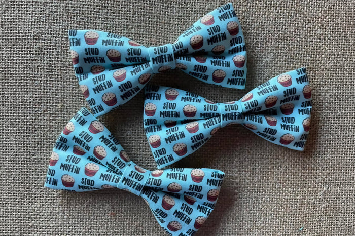 Two blue small pets bow ties with Stud Muffin pattern.|Deux petits nœuds papillon bleus pour animaux, à motif Stud Muffin.