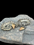 Sumatran Short Tailed Python (Pumpkin Head Het T+) Male